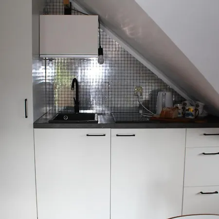 Apartamenty Magnus Na Gubalowce Косьцелісько Екстер'єр фото