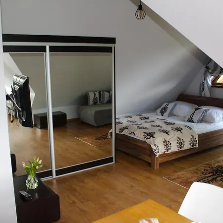 Apartamenty Magnus Na Gubalowce Косьцелісько Екстер'єр фото