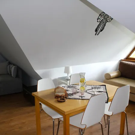 Apartamenty Magnus Na Gubalowce Косьцелісько Екстер'єр фото